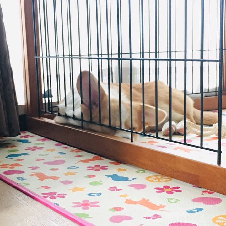 8179ea4b 23e1 4bf4 811d a923f969abfd 1560309667498