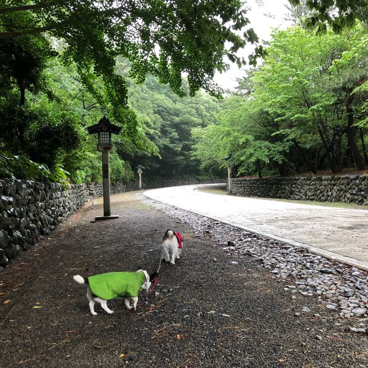 817a07c5 98c2 4ea7 844e 9f5a1cf54d01 1530835079301