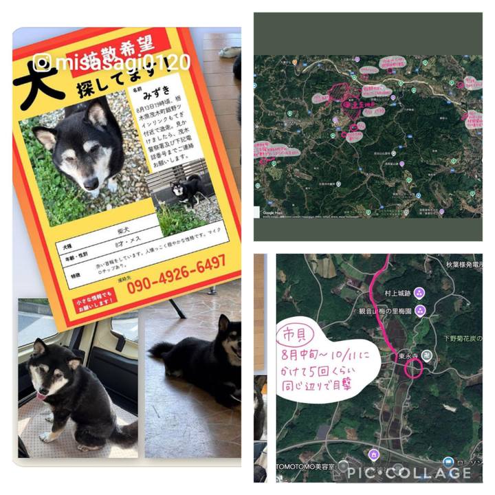 817a5fb9 3d25 47cd 85d5 72507e5c8fd4 1761349512072