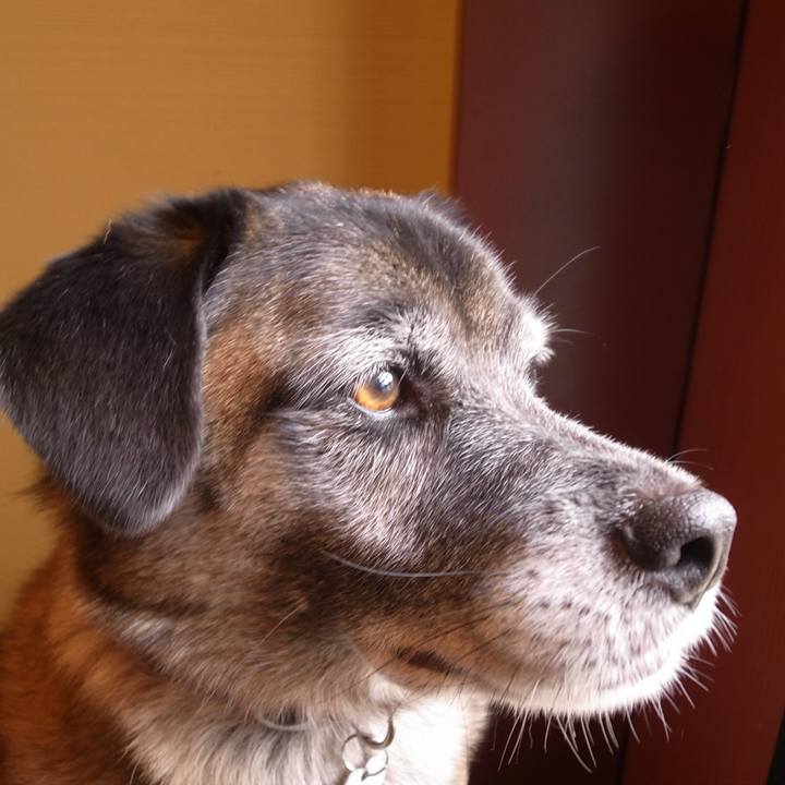 817a80a7 5c2a 4332 a5b2 fa8d8df0b5fe 1591662645673