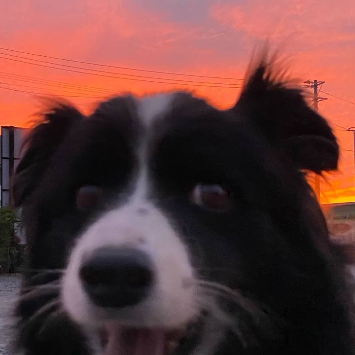 817aafd5 a568 4720 b718 77bf26f0ec84 1722078316893