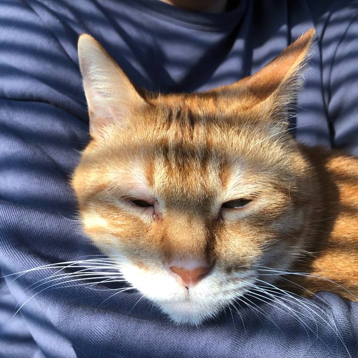 817ad0d0 4915 4d7f 9bbf dec0dda00158 1650402689255