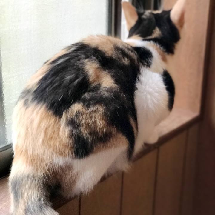 817b1f4a aec8 4ad4 bdb4 0be7179cdde3 1538359375505