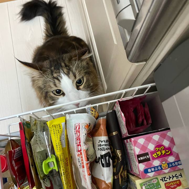 817b430d 9d51 4182 99b4 173bc8c16f85 1737405763766