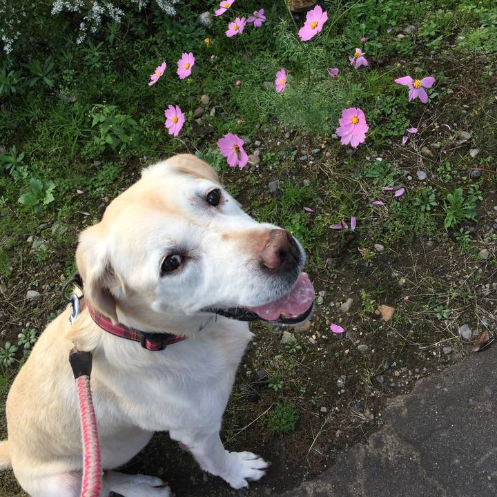 817b50a8 3870 4c2e b42f 5b75d70a47d9 1647924963392