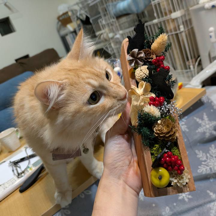 817b6eed 0662 4cef ba50 64848b3d9807 1733570777908