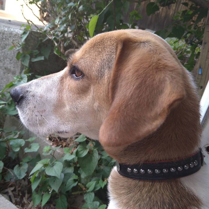 817b7a6b 0a51 4632 97f6 dd8085b3e015 1624524645590