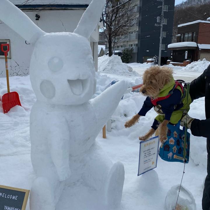 817be091 e5f6 4a4d 9630 1af3aa2b58b9 1707168666801