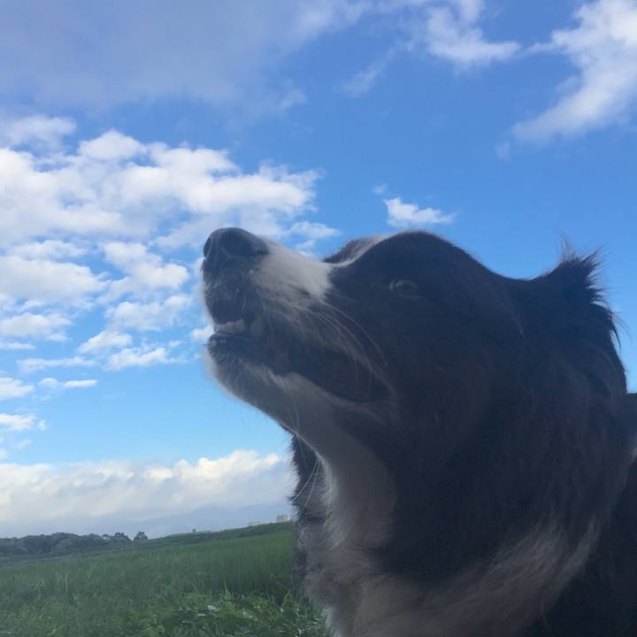 817beca6 e1f3 48be b129 44bcd8adcfc1 1535062499017