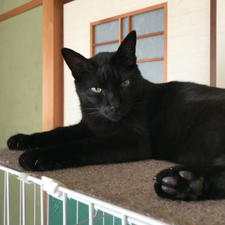 817bf214 7d01 40d5 b551 da0dced8e3a3 1532392687243