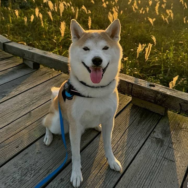 817c0930 2da6 4b81 9b83 9e9fbe7476aa 1747959197186