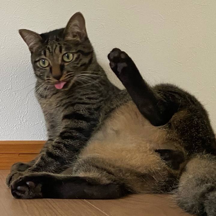 817c0ecd 5625 40b3 8d3c 7a8f4f1b510b 1630839556837