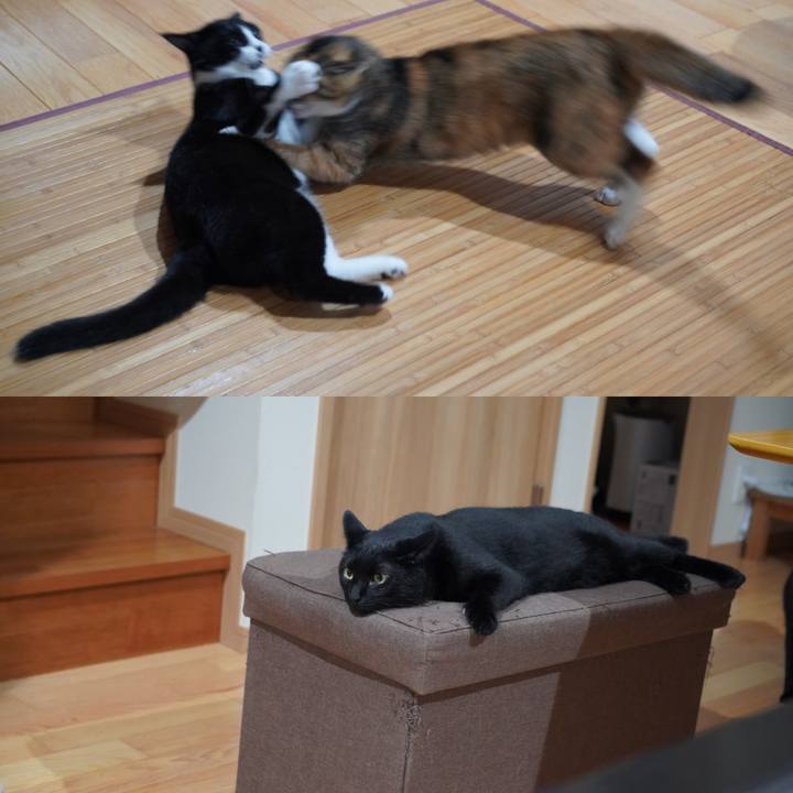 817c1e77 d18c 4637 a568 553b4dfda004 1626618352017