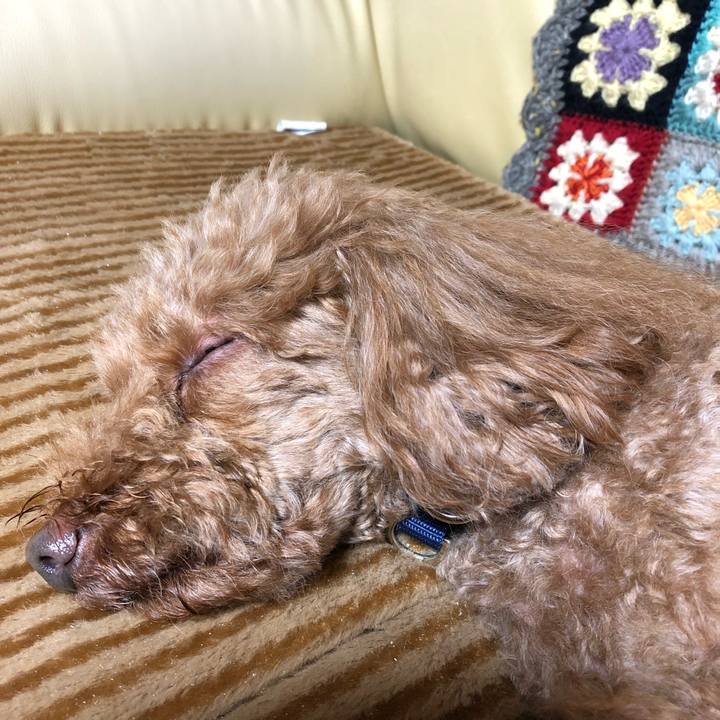 817c3bf0 9b3e 4f9b be00 216dc4c2b41b 1546910237003