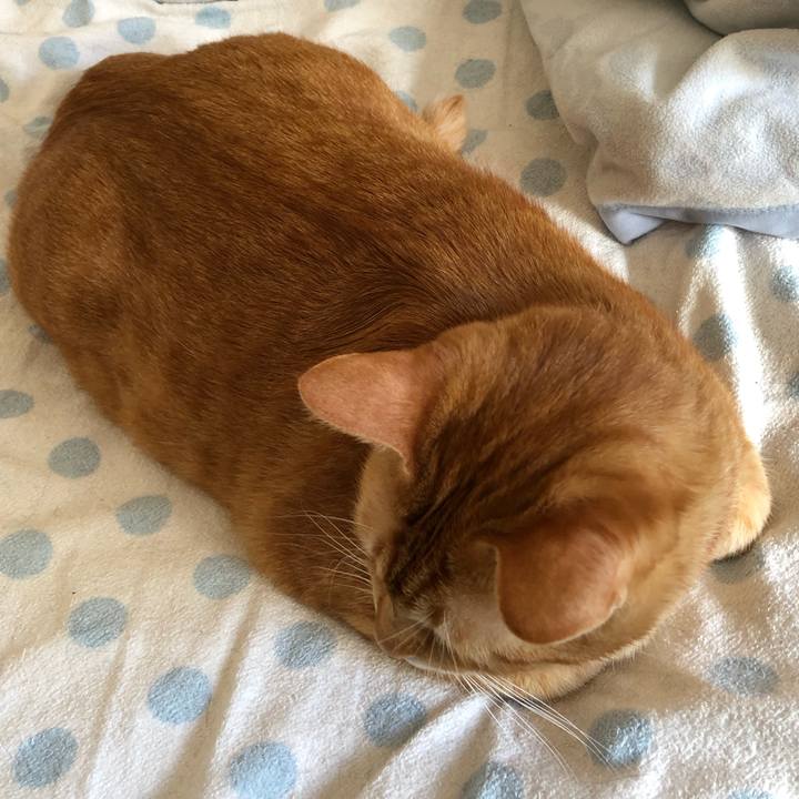 817c3ff1 a339 43a1 94d4 163e96ec380c 1569025585847