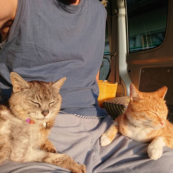 817c4a31 bfdb 4ec4 bbcf 7fe66fb8fd02 1597354482834