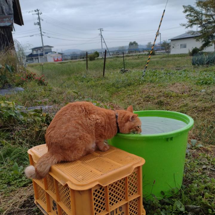 817c6537 2965 423c a533 691751d8cd3b 1696373573106