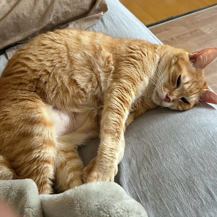 817c758e 5374 4aad b810 68b0d0281cc3 1687038749916