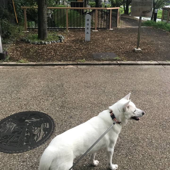 817c767c 69f8 4511 9c78 aad787431b64 1534767865081