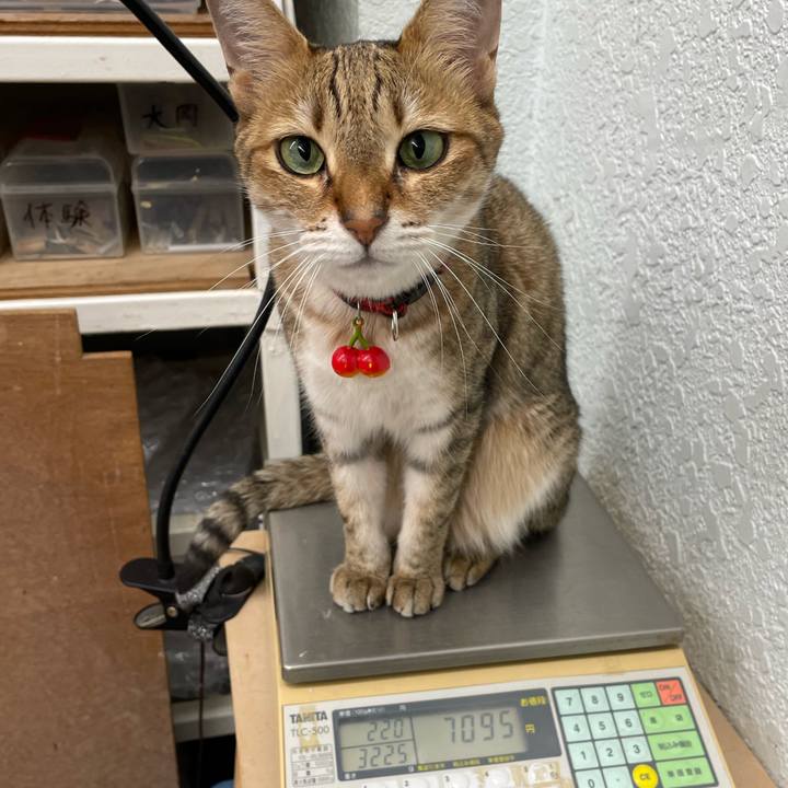 817d0a61 e917 4e2c b60a ddbed1d43acb 1723268295805