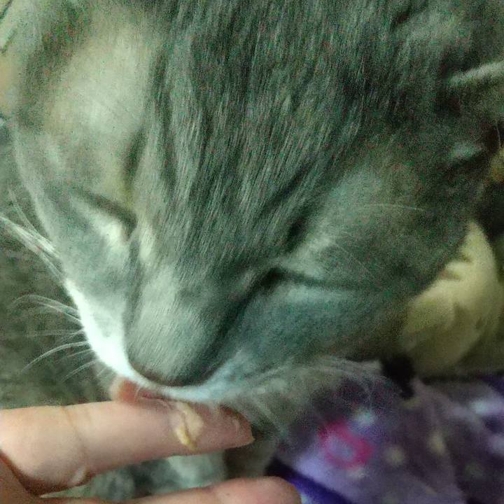 817d0d2e 975e 4b85 8f88 7eea2c7821c2 1698754066411