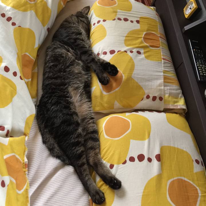 817d1181 4c61 4157 a400 e9006ab3b112 1590275599808