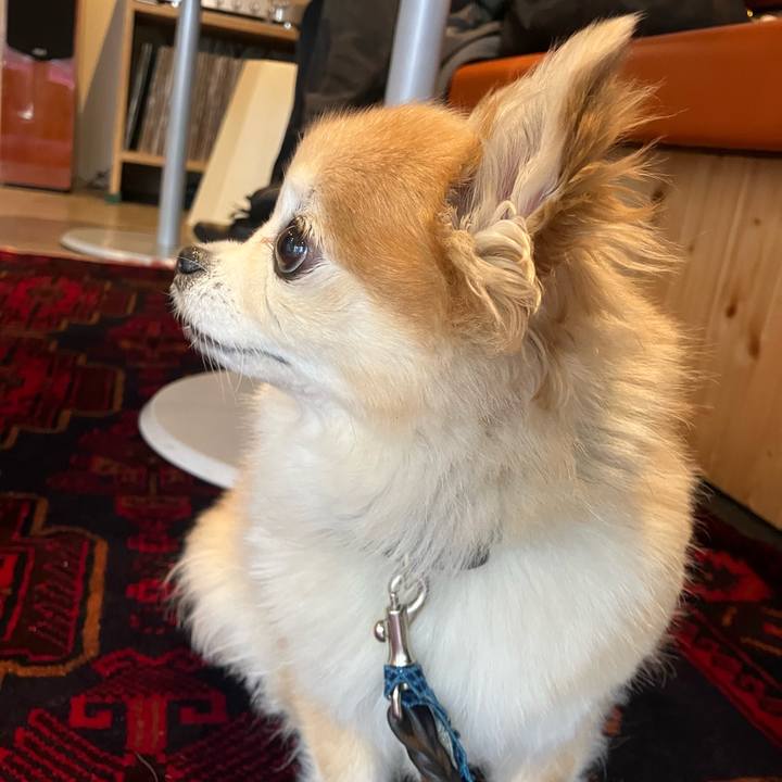 817d1280 ccec 4edf 8908 03df64a4bf7f 1768296628227