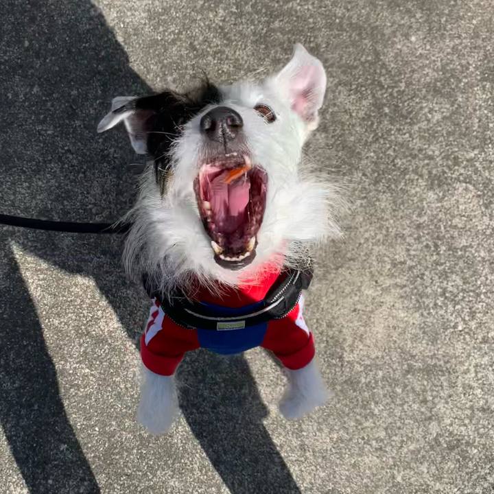 817d338d 3a70 439d 8c1f 00920b0d0de0 1677719184335