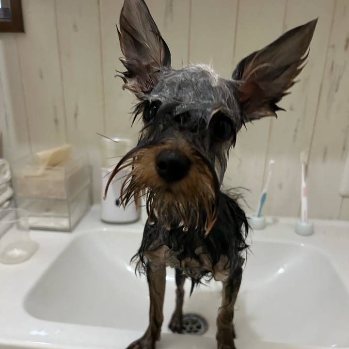 817d4d4b 7a65 4e98 8c25 a3700e254c20 1721533785051