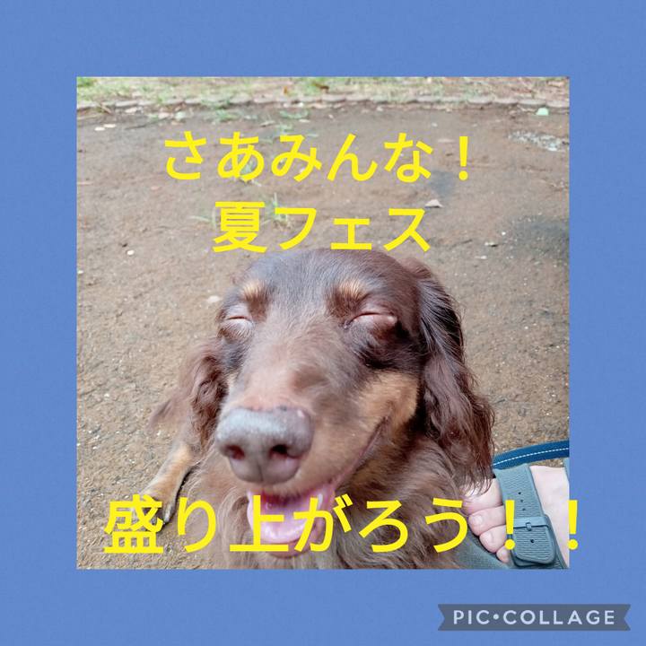 817d7cc5 e109 4f2c 8de3 4f1368d684b6 1755286107480