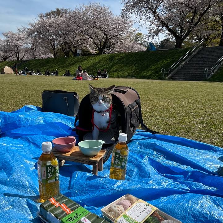 817d908d 87a9 43c8 b850 8a13d4af4b03 1711632640909