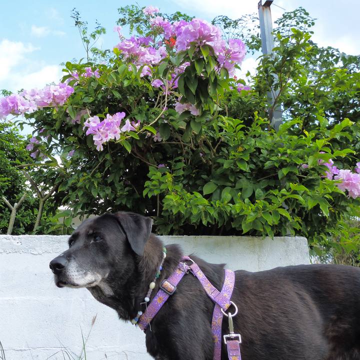 817dc37b eb52 46a8 a3b0 5b65d05654a7 1538402881993