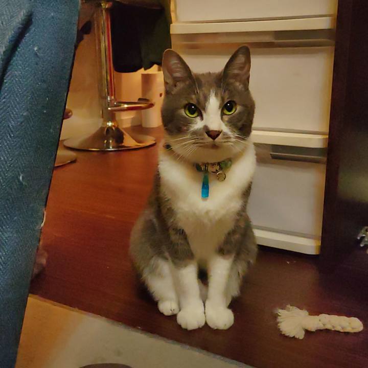 817dcb0a b762 4a3f a454 e7f3a27cde89 1668087468338