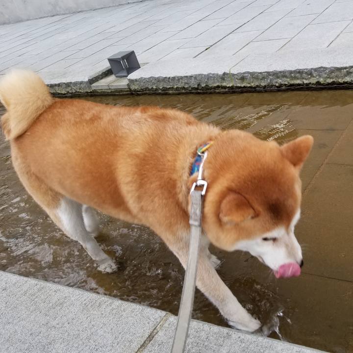 817e0a3e 7e49 4e93 92fb 92696436926d 1568276158383