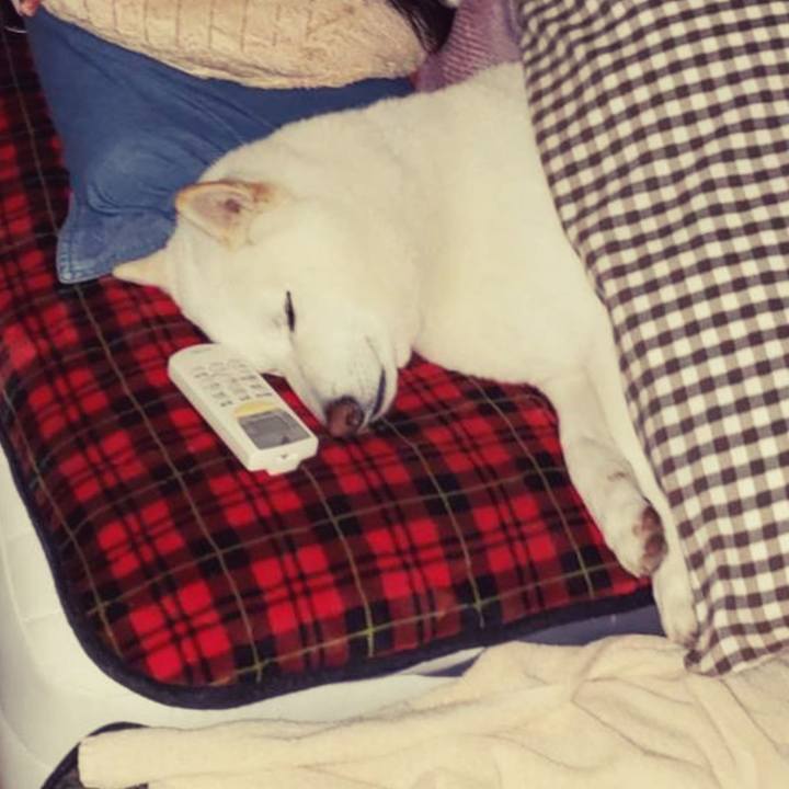 817e188d 42b4 4886 84ad bbbd84235677 1549464571735