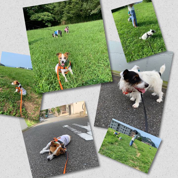 817e28fe acfb 4b68 8e91 aeb911f1e05b 1564445810108