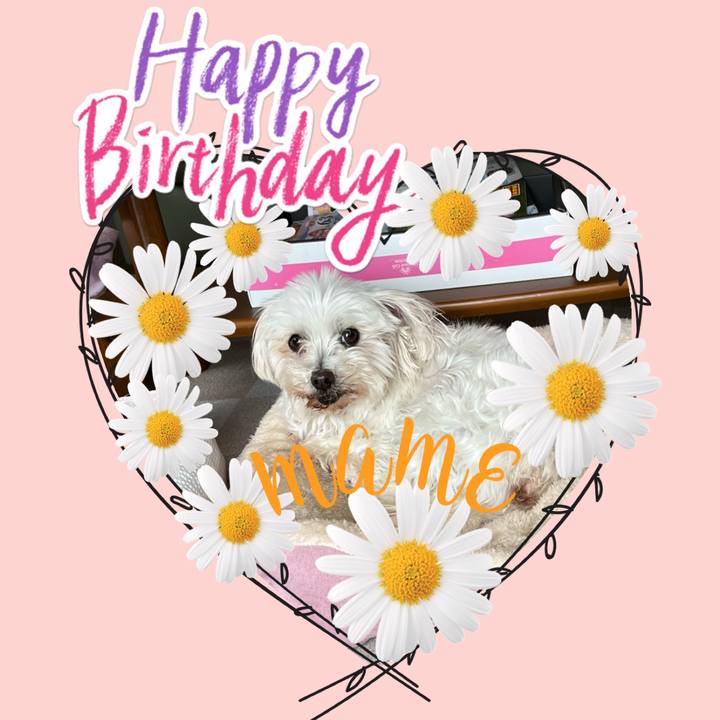 817e3b78 a3a9 4fc8 9f86 fd1299a96520 1713243637622