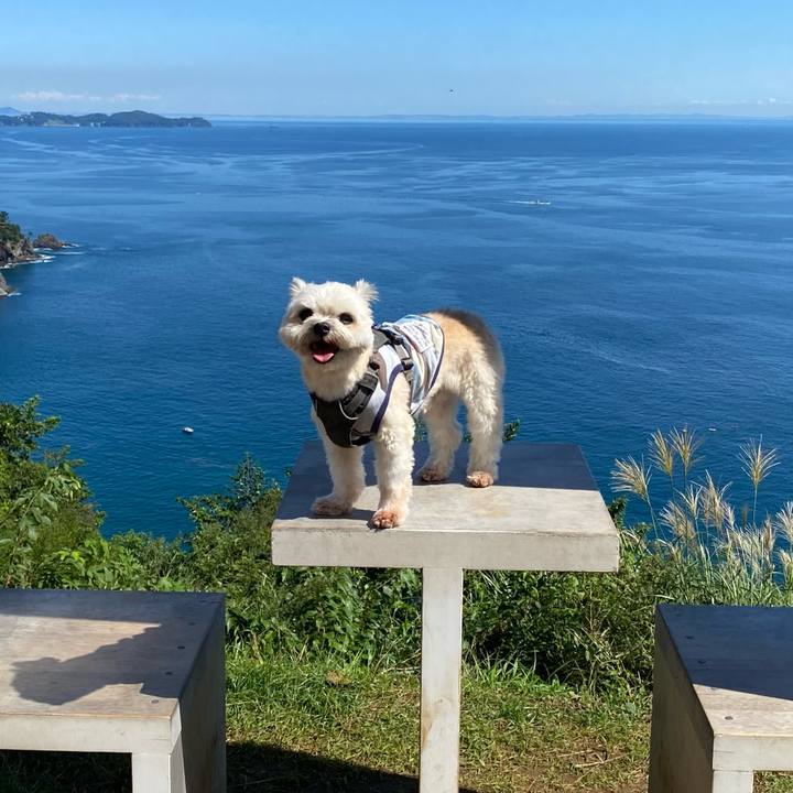 817e53ba 5f43 467c b877 ed12ab93df45 1601261912772