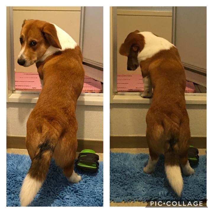 817e6cfe 2076 4c45 9d51 96a2b015cd2e 1602812376215