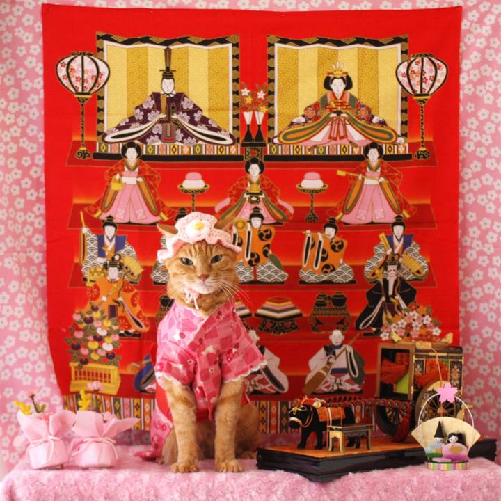 817e6d3b 7145 490e 8ac6 c7202195b41a 1772407476419