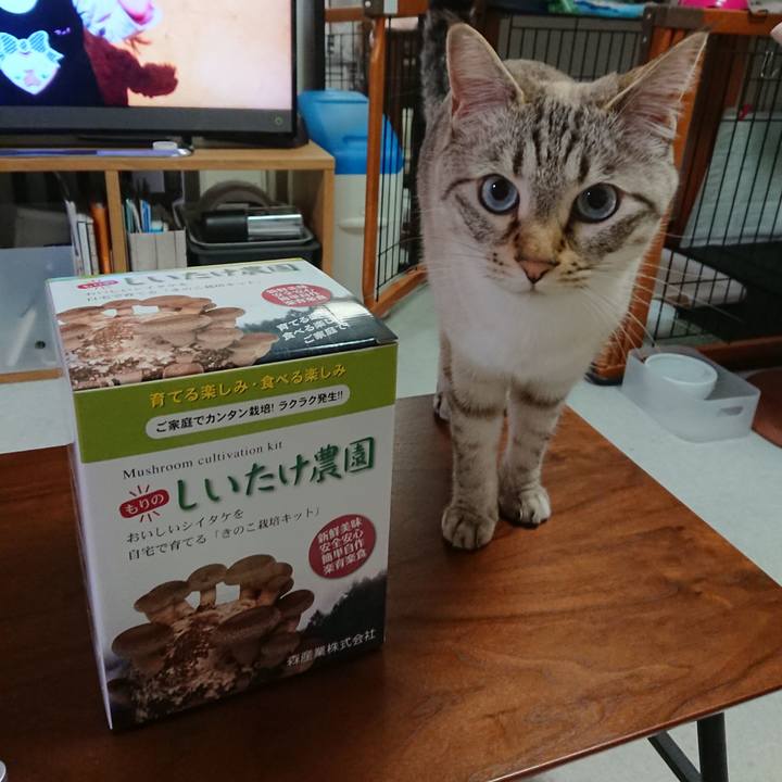 817e93cc 1029 491d 805f d4788e723e5d 1589280395133