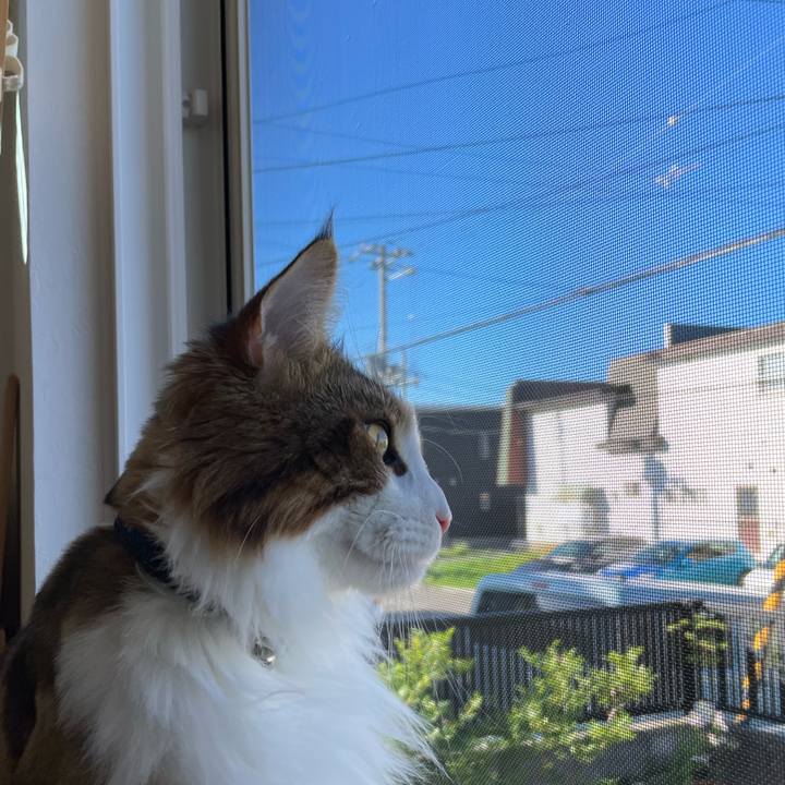 817eb08e d626 41b2 9387 d1d350303b48 1660687250475