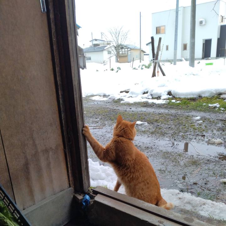 817eb35f 46f8 4e58 affd 4f5f3ff0f839 1702976646397