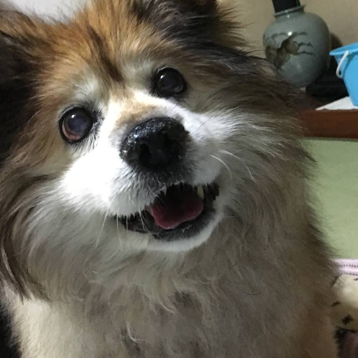 817eb44e 3d32 4be7 8f72 534e162c64a8 1575507209518