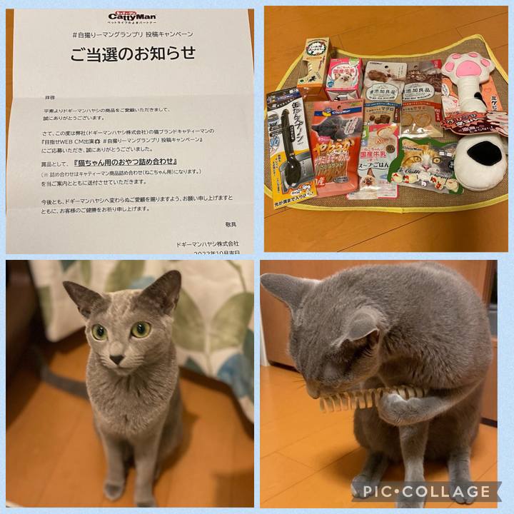 817ef64c 64e9 4182 b95d f42a048ec19e 1666739267624