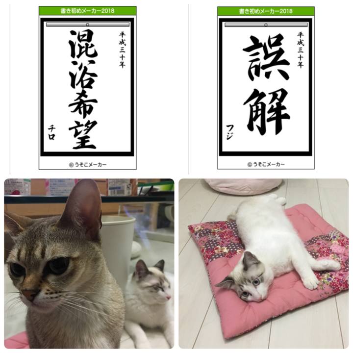 817f117a 088e 4261 9722 fc0f0c840296 1514883327987