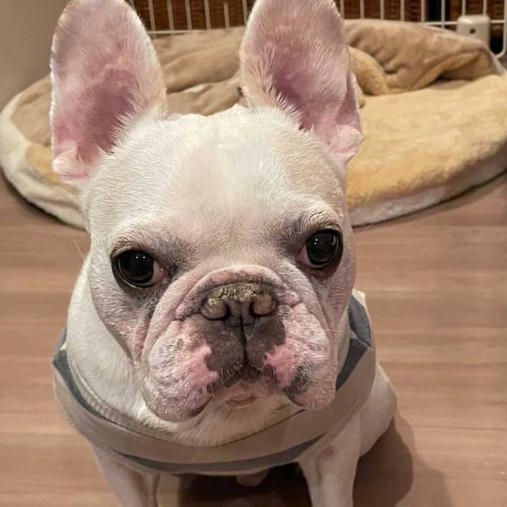 817f218a 92ab 4af7 94d4 dd6fcabdaee3 1622892896086