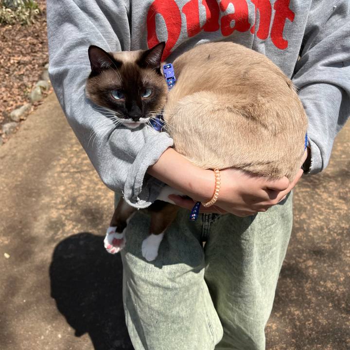 817f5937 278f 4713 bf11 54e40a508d67 1712968928493