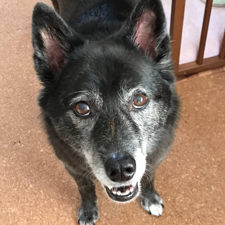 817f660f ca09 4db5 99dc 4b38a8a38512 1527764671836