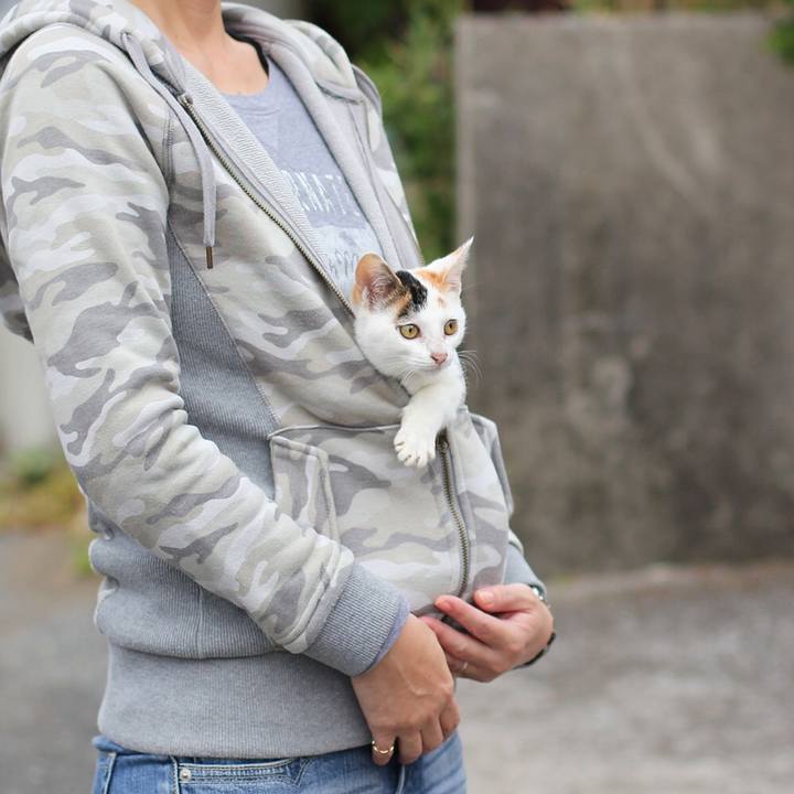 817f7852 578c 4dca 87c0 94f9f1cf8a9d 1541393368187